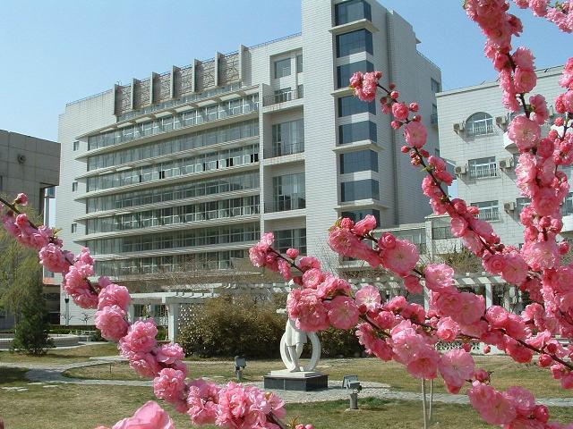 操骚逼免费视频
